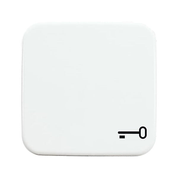 Busch-Jaeger Wippe aws mit Symbol Schlüssel 2520 TR-214